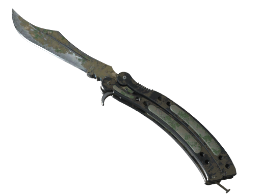 ★ButterflyKnife|ForestDDPAT(Battle-Scarred)