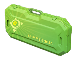 eSports2014SummerCase