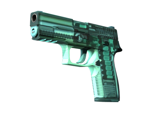 StatTrak™P250|X-Ray(FactoryNew)