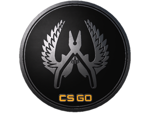 Guardian Elite Pin