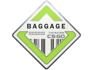 Baggage Pin