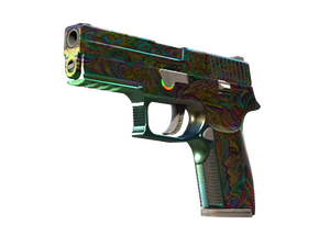 P250 | Visions (Well-Worn)