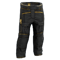 Black Gold Pants