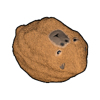 Capybara Rock