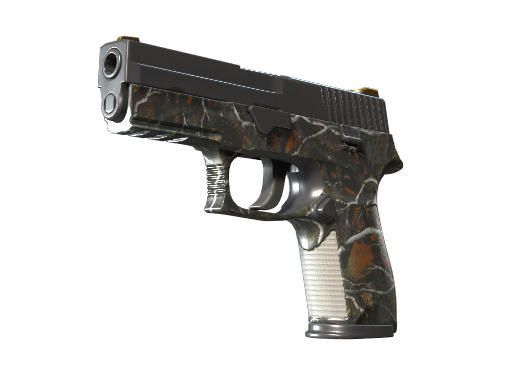 P250|SmallGame(FactoryNew)