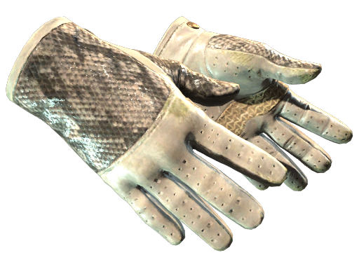 ★DriverGloves|KingSnake(Field-Tested)