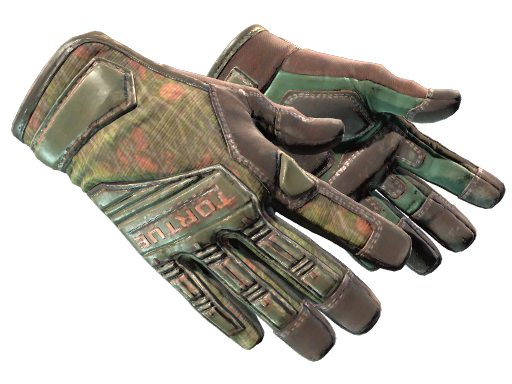 ★SpecialistGloves|Buckshot(Field-Tested)