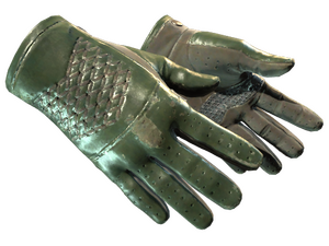 ★ Driver Gloves | Racing Green (Well-Worn)