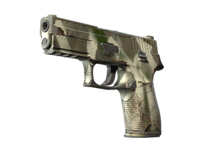 P250 | Bone Mask (Field-Tested)