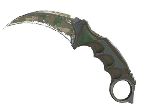 ★ Karambit | Forest DDPAT (Battle-Scarred)