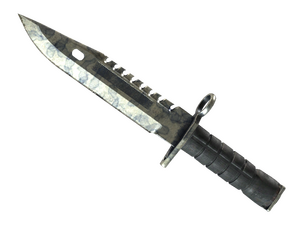 ★ M9 Bayonet | Stained (Battle-Scarred)