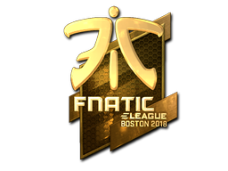 Fnatic (Gold) | Boston 2018