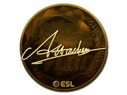 Attacker (Gold) | Katowice 2019