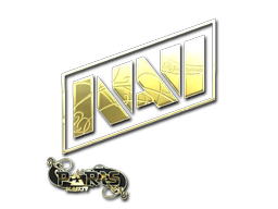 Natus Vincere (Gold) | Paris 2023