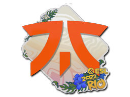 Fnatic | Rio 2022